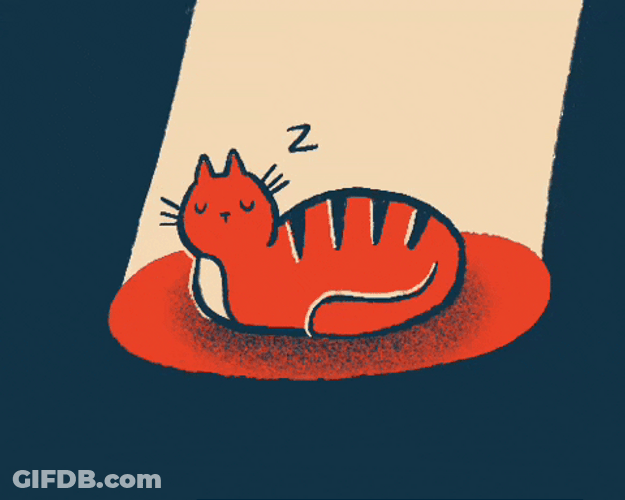 Buenas Noches Gatos GIF
