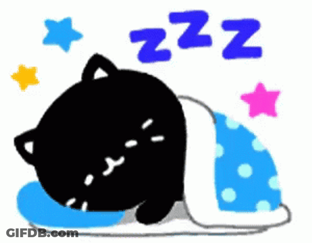 Buenas Noches Gatos GIF