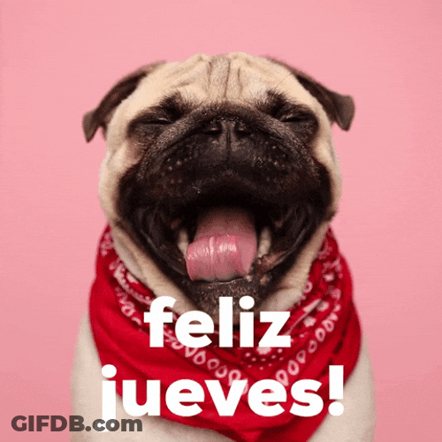 Buenas Noches Jueves GIF