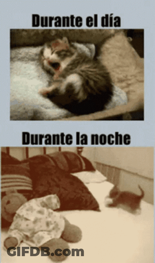 Buenas Noches Jueves GIF