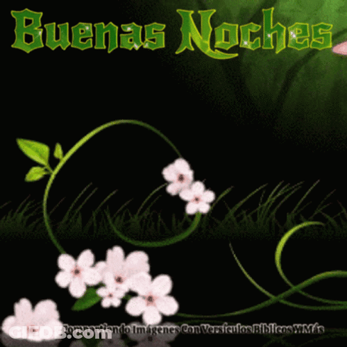 Buenas Noches Jueves GIF