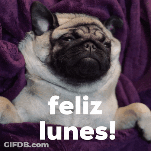 Buenas Noches Lunes GIF