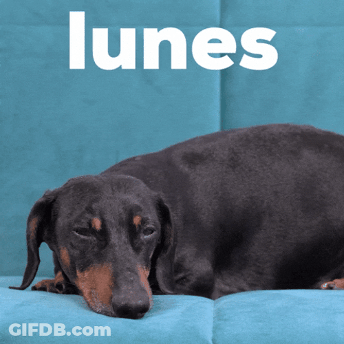 Buenas Noches Lunes GIF
