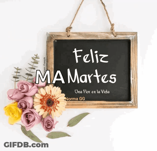 Buenas Noches Martes GIF