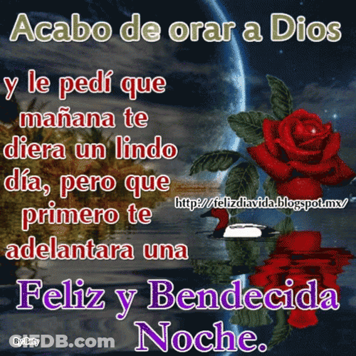 Buenas Noches Martes GIF