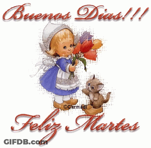 Buenas Noches Martes GIF