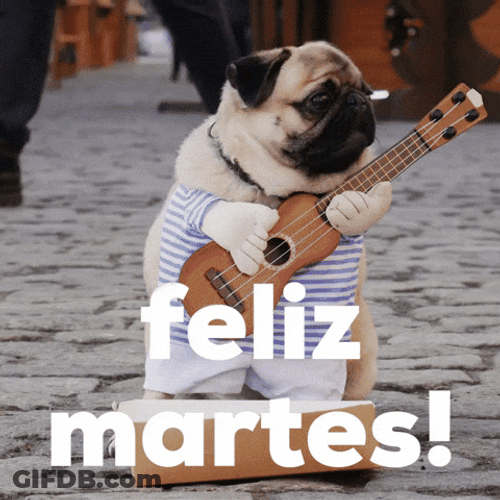 Buenas Noches Martes GIF