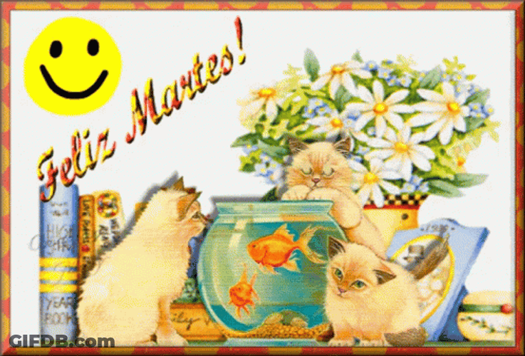 Buenas Noches Martes GIF