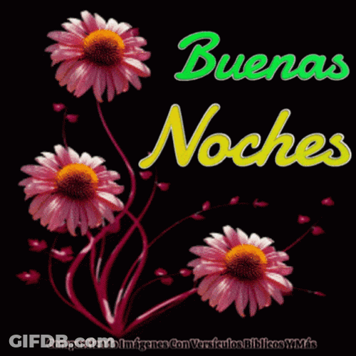 Buenas Noches Miercoles GIF