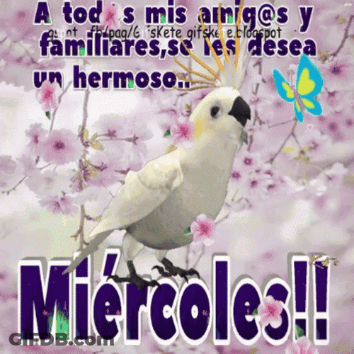 Buenas Noches Miercoles GIF