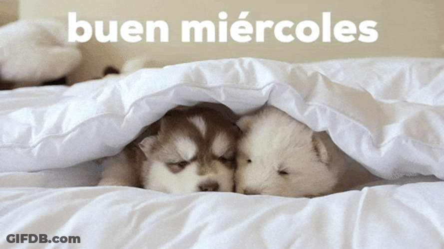 Buenas Noches Miercoles GIF