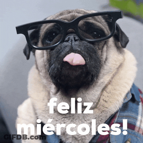 Buenas Noches Miercoles GIF