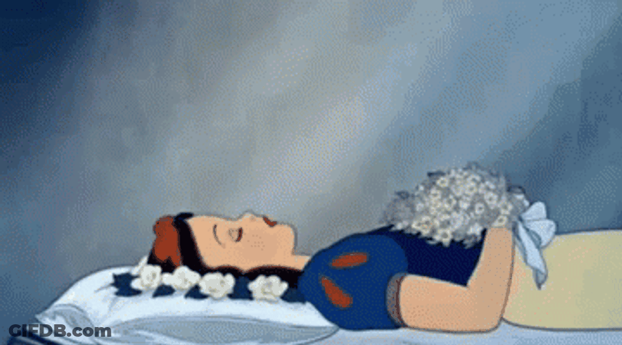Buenas Noches Princesa GIF
