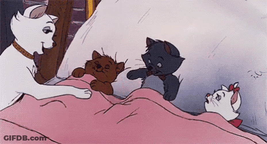 Buenas Noches Princesa GIF