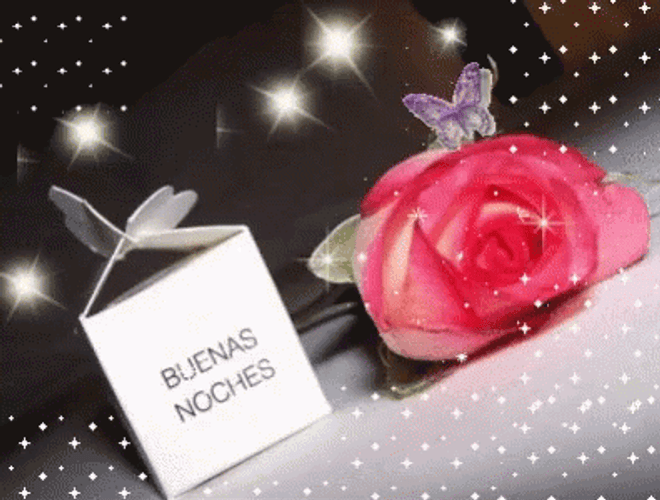 Buenas Noches Rose With Butterfly GIF