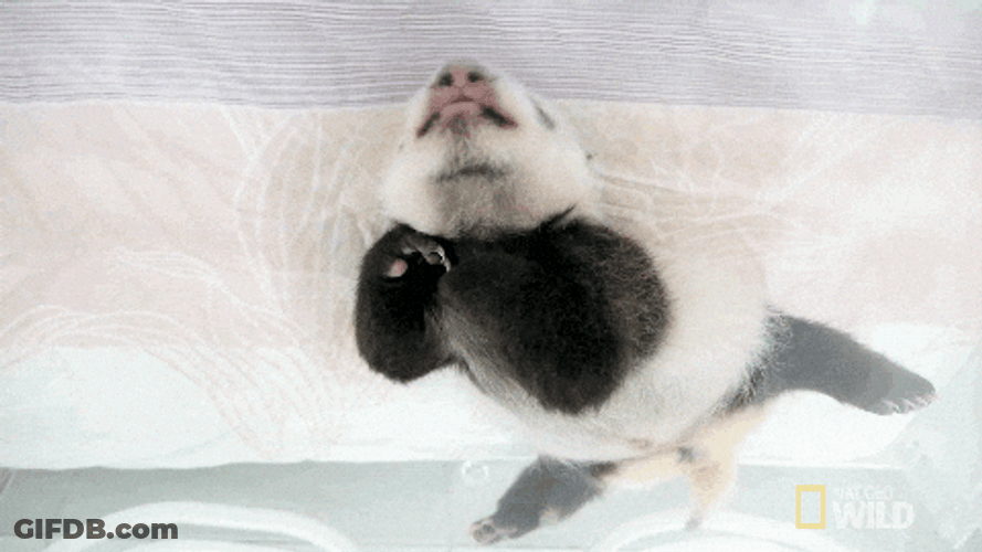 Buenas Noches Sabado GIF