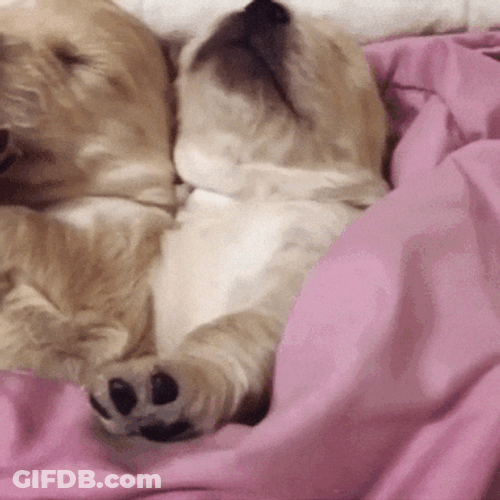 Buenas Noches Sabado GIF