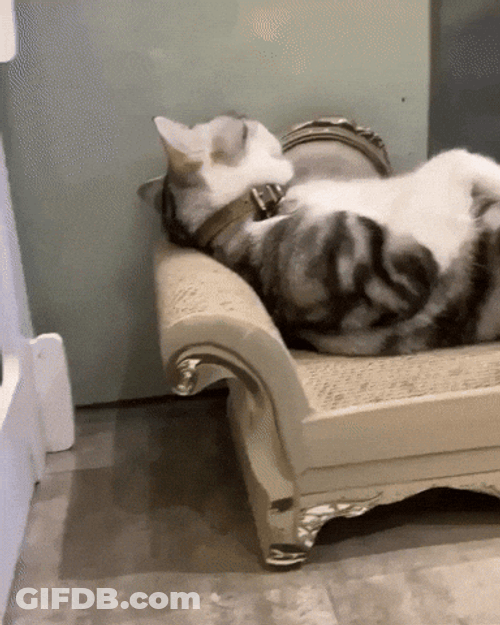 Buenas Noches Sabado GIF