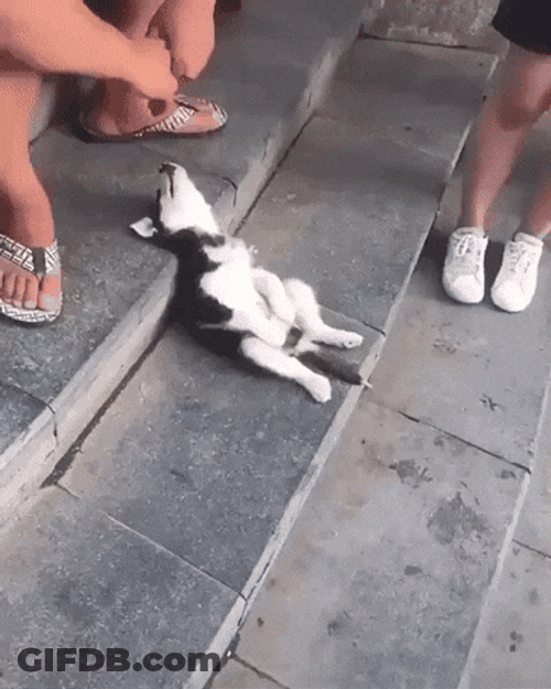 Buenas Noches Sabado GIF