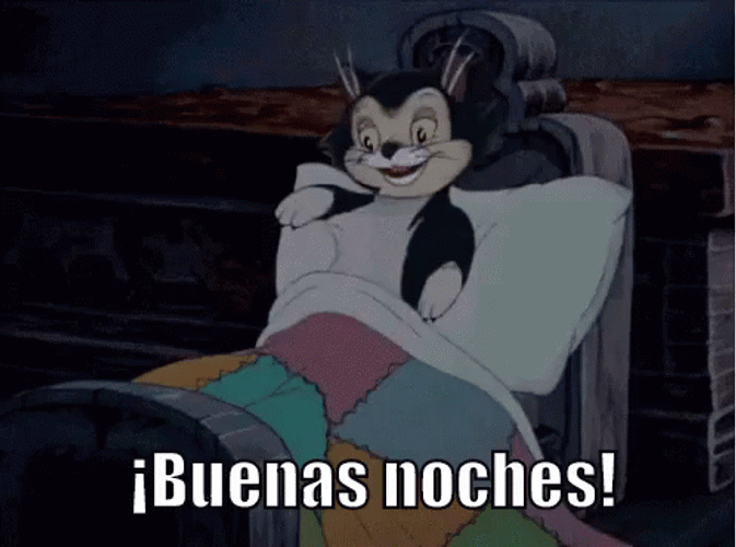 Buenas Noches Sleepy Black Cat GIF