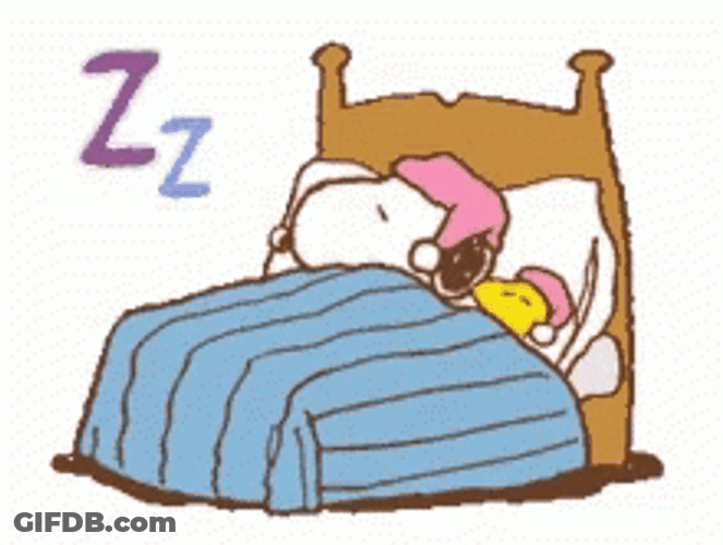 Buenas Noches Snoopy GIF