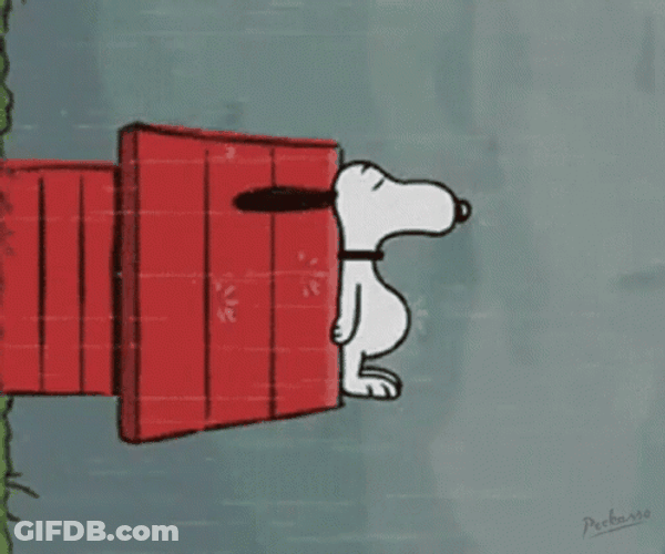 Buenas Noches Snoopy GIF
