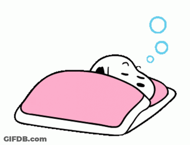 Buenas Noches Snoopy GIF