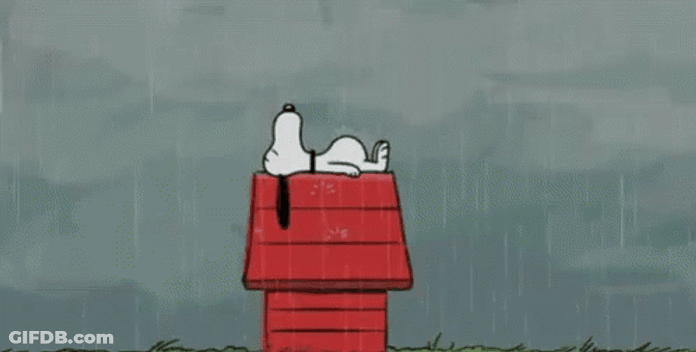 Buenas Noches Snoopy GIF