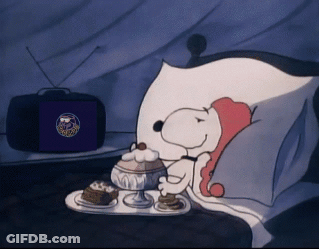 Buenas Noches Snoopy GIF