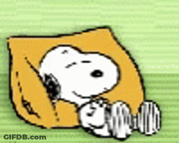 Buenas Noches Snoopy GIF