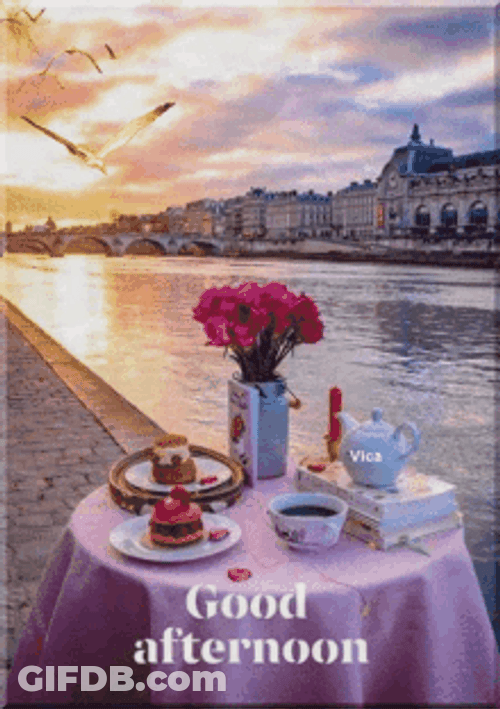 Buenas Tardes Beautiful Bay Sunset GIF