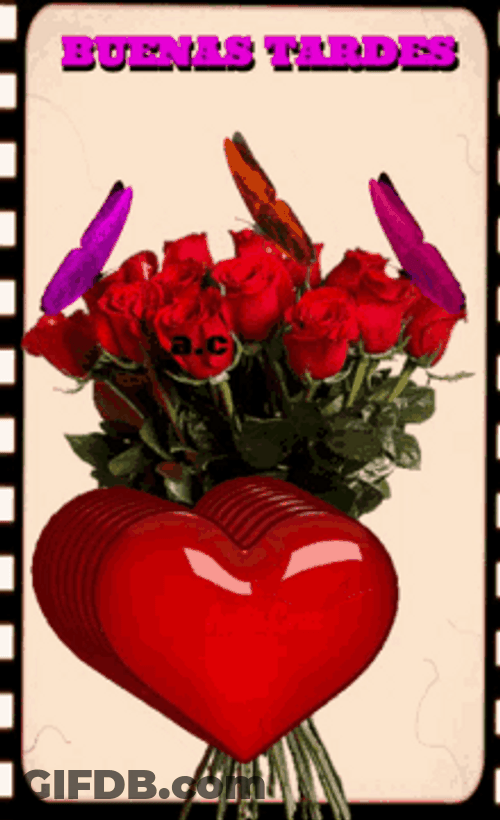 Buenas Tardes Beautiful Boquet Red Roses GIF