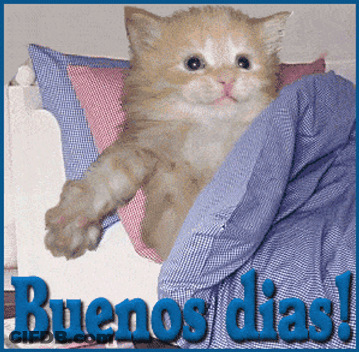 Buennos Diaz Feliz Domingo Cute Art GIF