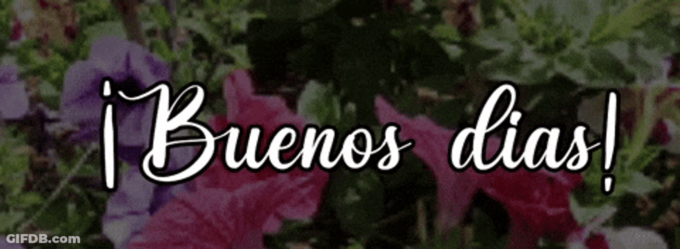Buenos Dias Amigas GIF