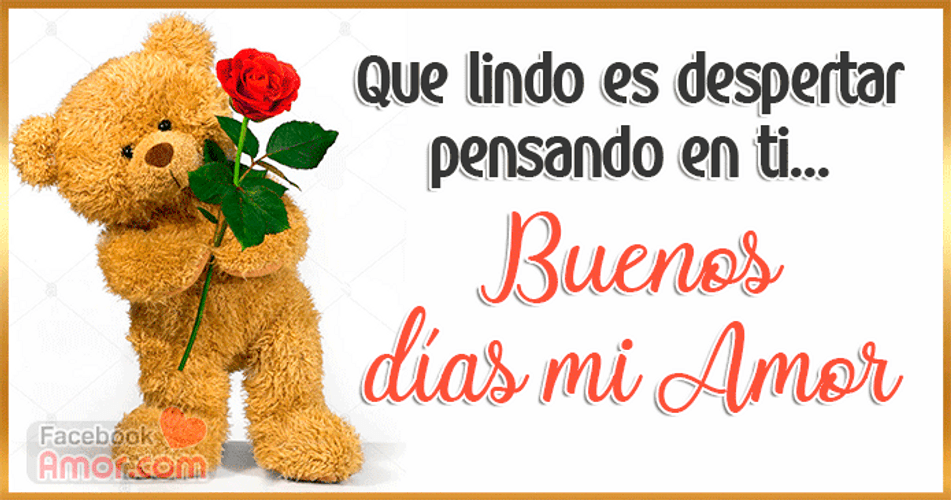 Buenos Dias Amor Bear With Rose Graphic Art GIF