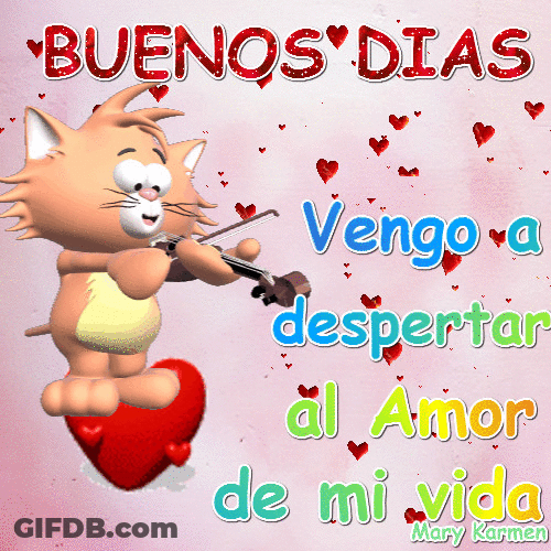 Buenos Dias Amor Cat Playing Violin Fun Art GIF