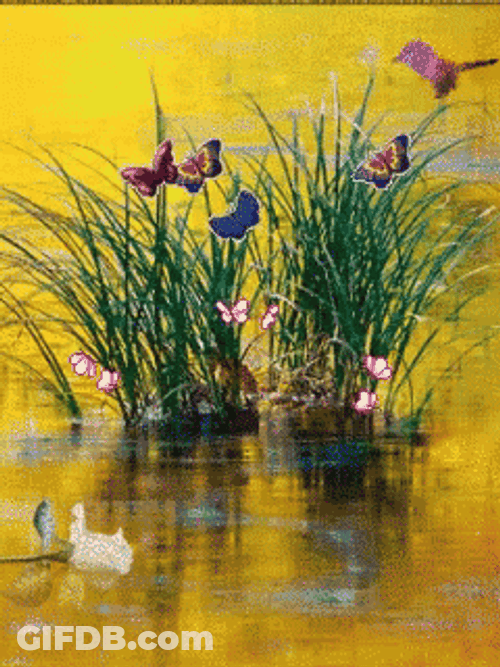 Buenos Dias Colibri GIF