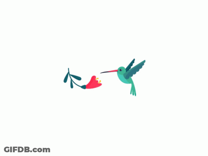 Buenos Dias Colibri GIF