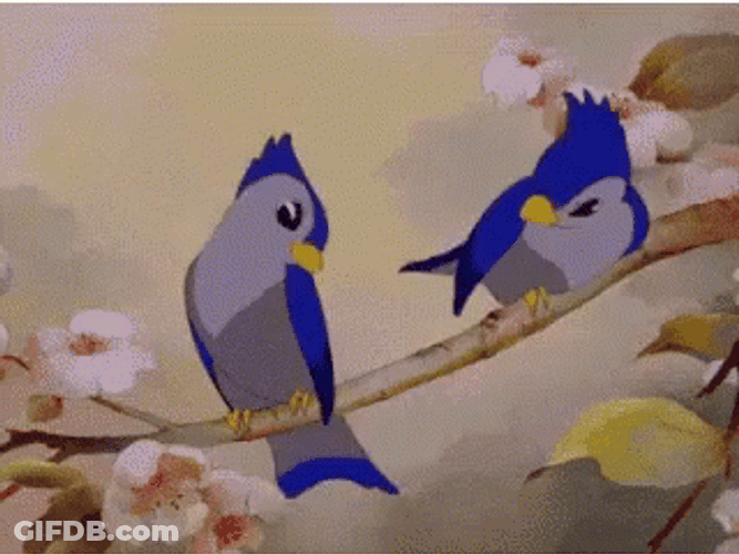 Buenos Dias Colibri GIF