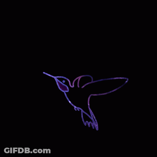 Buenos Dias Colibri GIF