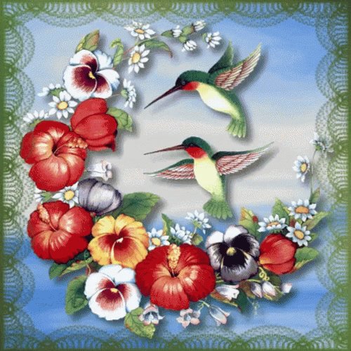 Buenos Dias Colibri Undefined X Undefined GIF
