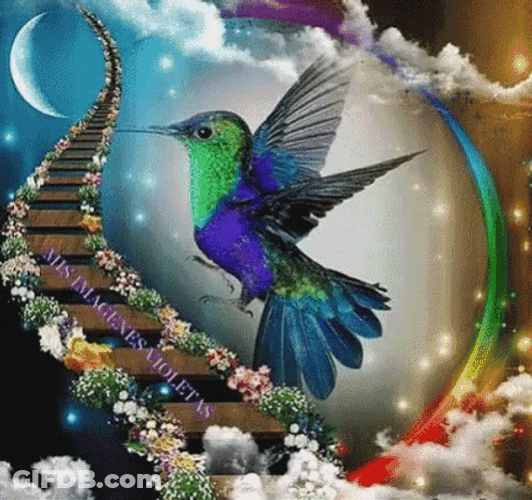 Buenos Dias Colibri GIF