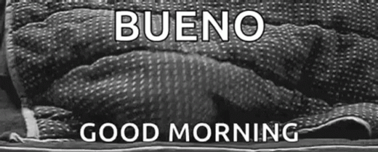 Buenos Dias Con Gatitos Undefined X Undefined GIF