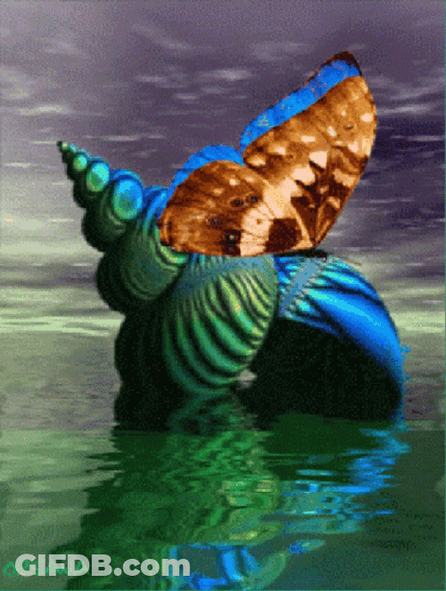 Buenos Dias Con Mariposas GIF