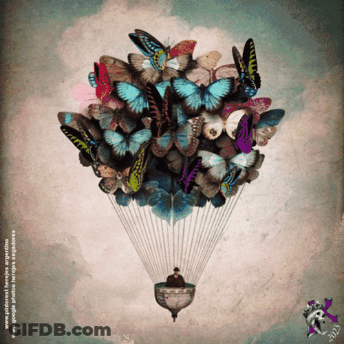 Buenos Dias Con Mariposas GIF
