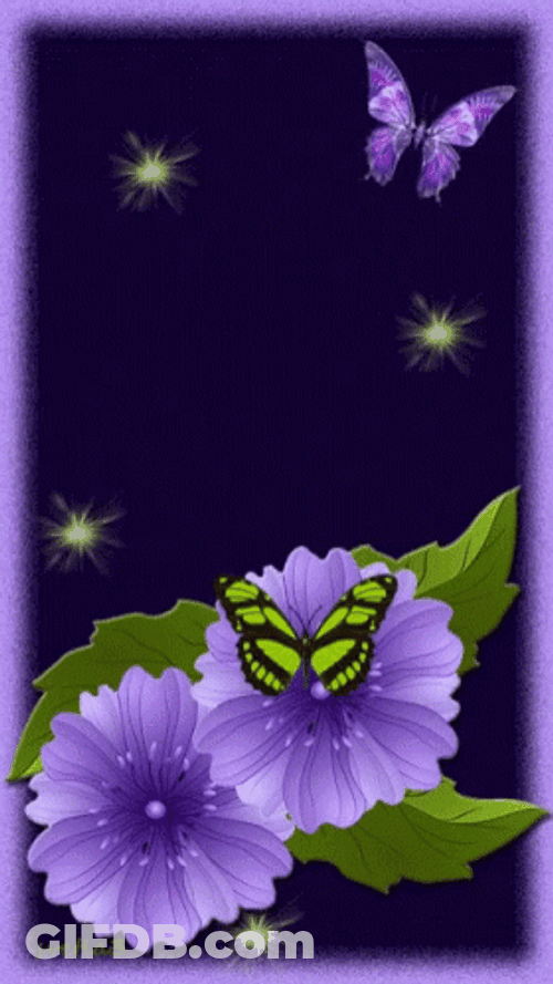 Buenos Dias Con Mariposas GIF