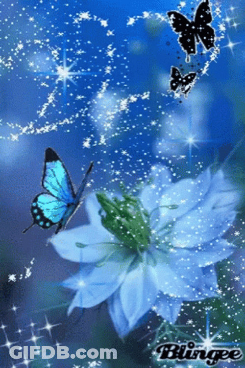 Buenos Dias Con Mariposas GIF