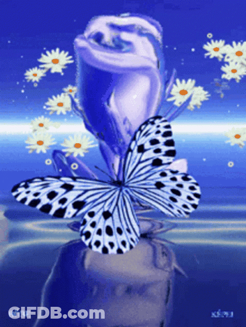 Buenos Dias Con Mariposas GIF