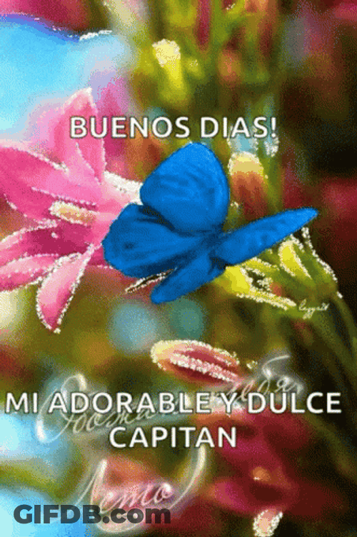 Buenos Dias Con Mariposas GIF