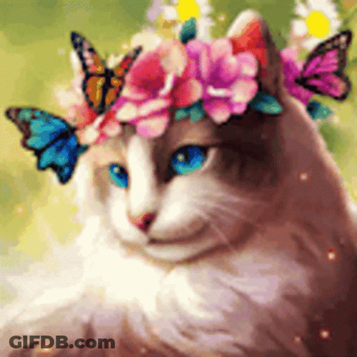 Buenos Dias Con Mariposas GIF